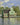 Kunstwerk Huizen aan de zaan - Claude Monet